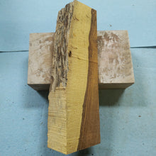 Casting desert ironwood