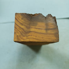 Casting desert ironwood