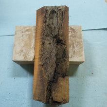 Casting desert ironwood