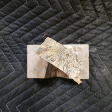Casting desert ironwood