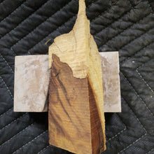 Casting desert ironwood