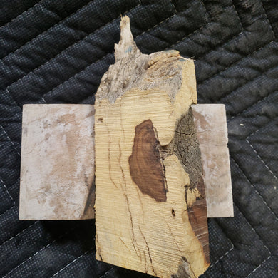 Casting desert ironwood