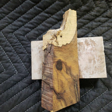 Casting desert ironwood