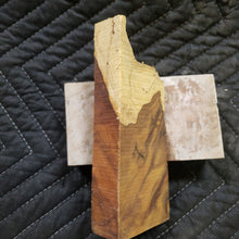 Casting desert ironwood
