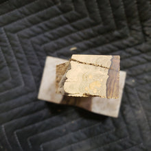 Casting desert ironwood