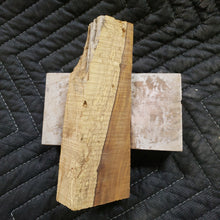 Casting desert ironwood