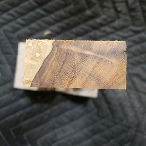 Casting desert ironwood