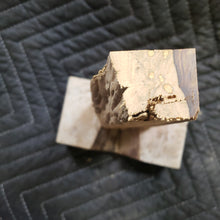 Casting desert ironwood