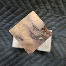 Casting desert ironwood