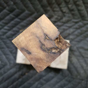 Casting desert ironwood
