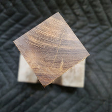 Casting desert ironwood