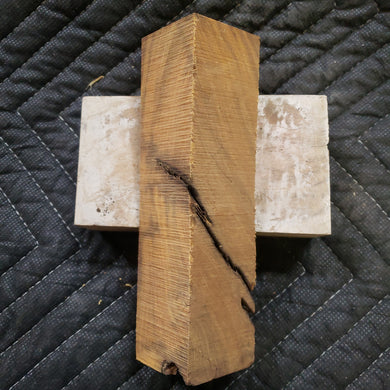 Casting desert ironwood