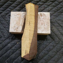 Casting desert ironwood