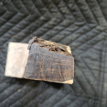 Casting desert ironwood