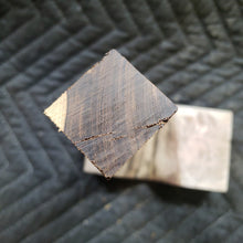 Casting desert ironwood