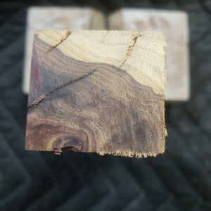 Casting desert ironwood