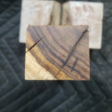 Casting desert ironwood