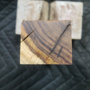 Casting desert ironwood