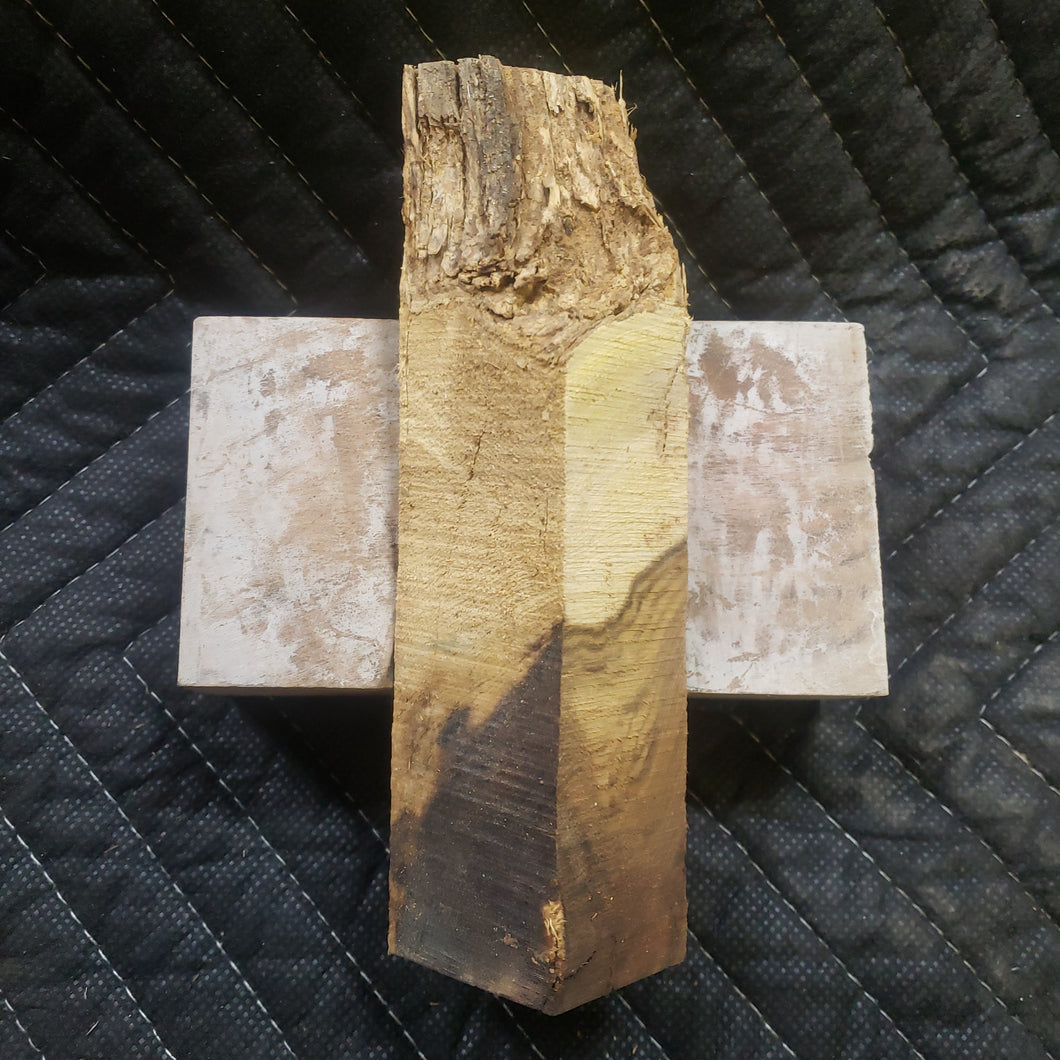 Casting desert ironwood