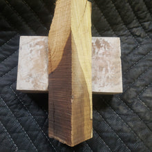 Casting desert ironwood