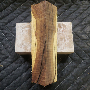 Casting desert ironwood