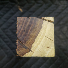 Casting desert ironwood