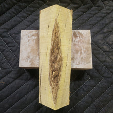 Casting desert ironwood