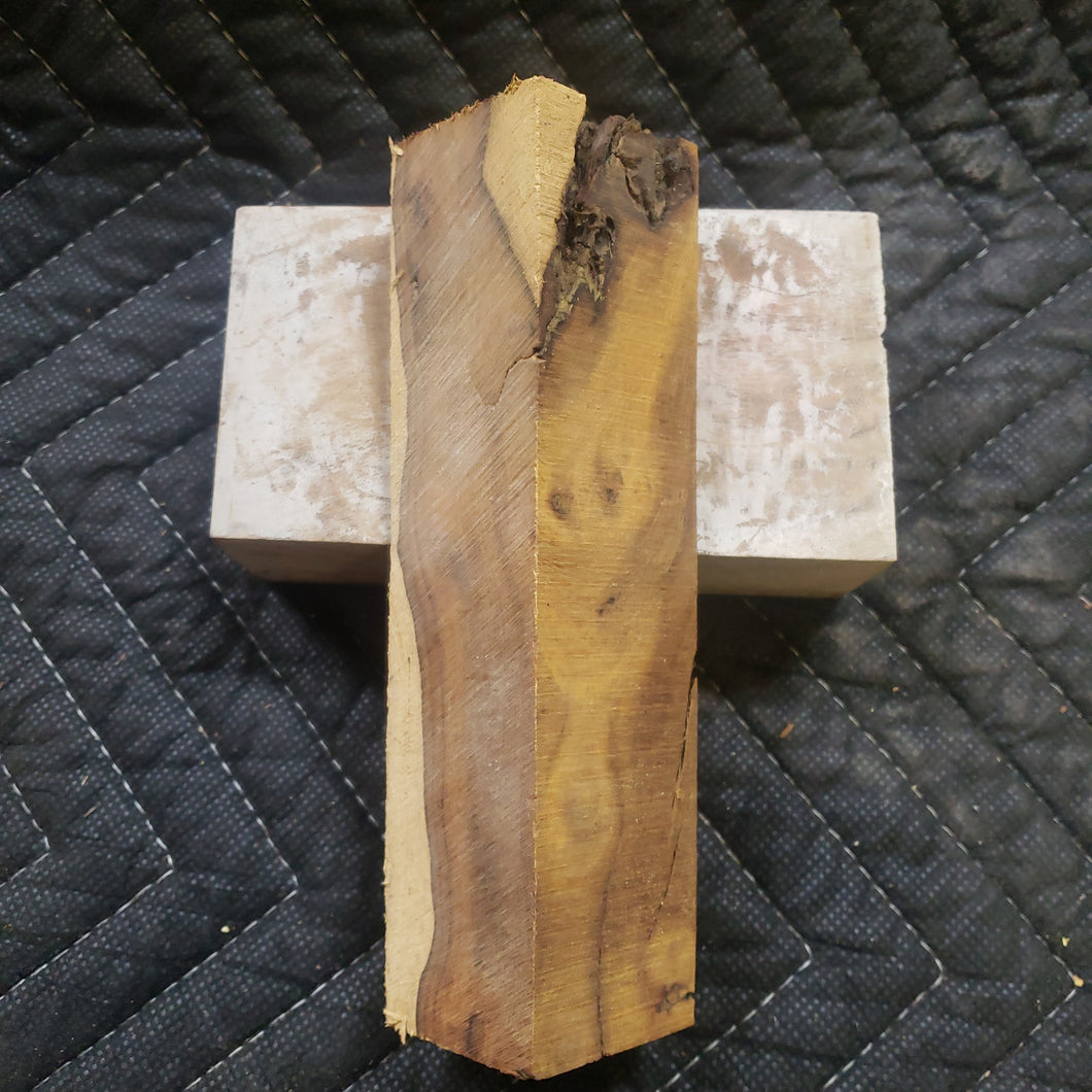 Casting desert ironwood