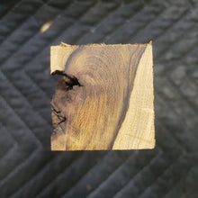 Casting desert ironwood