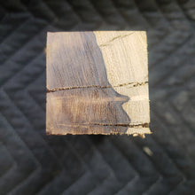 Casting desert ironwood