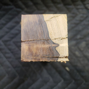Casting desert ironwood