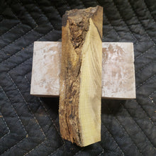 Casting desert ironwood