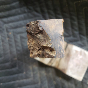 Casting desert ironwood
