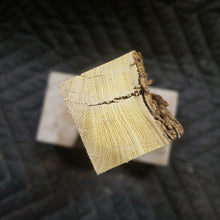 Casting desert ironwood