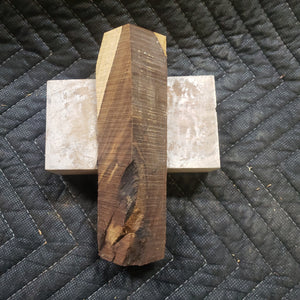 Casting desert ironwood