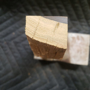 Casting desert ironwood