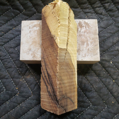 Casting desert ironwood