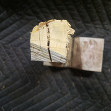 Casting desert ironwood
