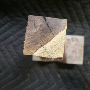 Casting desert ironwood