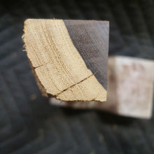 Casting desert ironwood