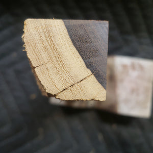 Casting desert ironwood