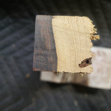 Casting desert ironwood