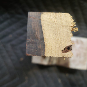 Casting desert ironwood