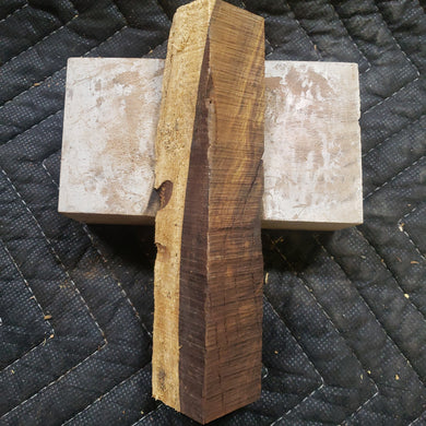 Casting desert ironwood