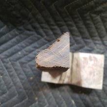 Desert ironwood