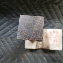 Desert ironwood