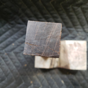 Desert ironwood