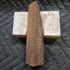 Desert ironwood