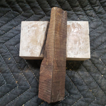 Desert ironwood
