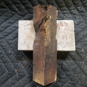Desert ironwood